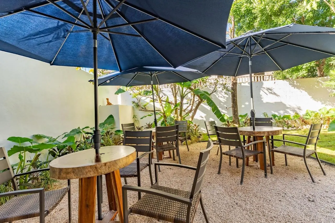 Artec Studios Tulum Pueblo Mexico